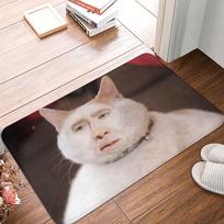 Saint Nicolas Cage Doormat Mat Anti-Slip Funny Meme Bathroom Kitchen Living Room Rug Carpet 40*60cm 40cm x 60cm