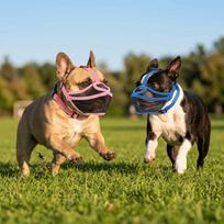 Short Nose Fit Short Snout Muzzle Breathable Bulldog Muzzle Secure Fit Pet Mouth Cover  Daily Walk M mėlyna