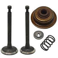 Honda GX35 GX35NT HHT35S Trimmer Intake Exhaust Valve Spring Retainer Stem Seal Lock Kit For Brush Cutter Gas Engine CHINA