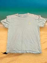 POLO RALPH LAUREN Men's Blue Classic Fit Logo Cotton Jersey T-Shirt Small EUC S