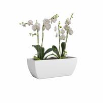 Iš perdirbto plastiko vazonas gėlėms 30 cm Siena – Artevasi