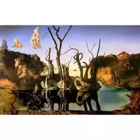 Eurographics DĖLIONĖ GULBĖS, ATSPINDINČIOS DRAMBLIUS SALVADOR DALI 1000D.