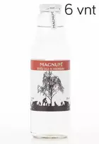 Beržų sula su rabarbaro skoniu, Magnum, 750 ml x 6 vnt