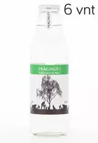Beržų sula su mėtos skoniu, Magnum, 750 ml x 6 vnt