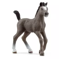 Schleich figūrėlė Cheval de Selle Francais veislės kumeliukas