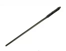 Lazdelė Harry Potter