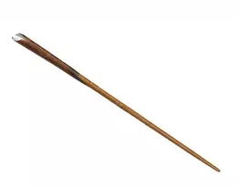 Lazdelė Harry Potter