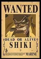 Plakatas One Piece