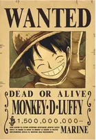 Plakatas One Piece