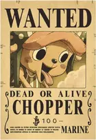 Plakatas One Piece