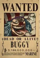 Plakatas One Piece