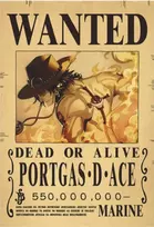 Plakatas One Piece