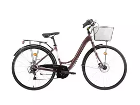 Dviratis miesto Bottari Railway Lady 18v, 28 "