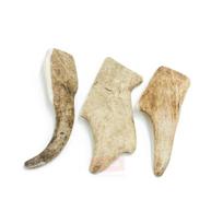 4DOGS Fallow Deer Antler elnio ragas, M