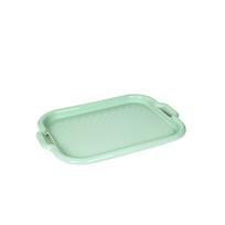 Padėklas plastikinis 46x33x3 cm žalios spalvos Domotti 229020