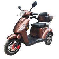 Elektrinis triratis motoroleris BEASTER BSMAGNUM2A 1000W