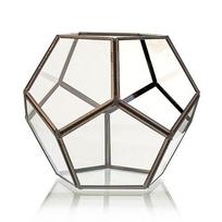 Stiklinis terariumas aštuonkampis 15x15x13.5 cm