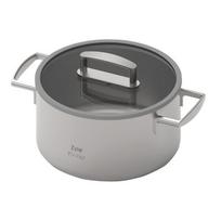 Nerūdijančio plieno puodas Zyle Prestige ZY1730CS, 4,3 l