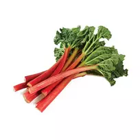 Rabarbarai