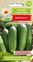 Ina Trumpus Toraf sėklos „Soplica F1“ lauko agurkas 5G