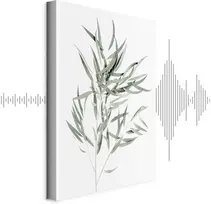 Paveikslas Nicholia eukaliptas