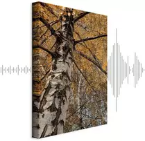 Paveikslas Rudens spalvos
