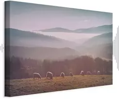 Paveikslas Avys kalnų peizaže