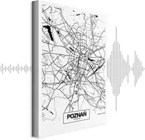 Paveikslas Poznanės miesto planas