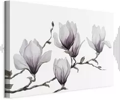 Paveikslas Tapytos magnolijos