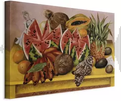 Paveikslas Frida Kahlo - Nuotaka, išsigandusi atverto gyvenimo