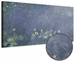 Paveikslas Claude Monet - Vandens lelijos III