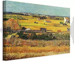 Paveikslas Vincent van Gogh - Derlius