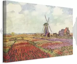 Paveikslas Claude Monet - Tulpių laukai su malūnu