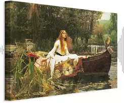 Paveikslas John William Waterhouse - Šaloto dama