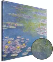 Paveikslas Claude Monet - Vandens lelijos Živerni