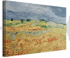 Paveikslas Vincent van Gogh - Laukai su aguonomis