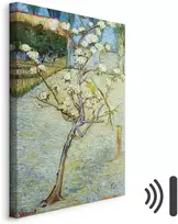Paveikslas Vincent van Gogh - Žydinti kriaušė