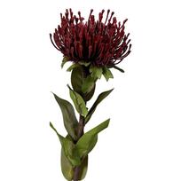 Dirbtinė gėlė (aukštis 74 cm) Protea – Ego Dekor