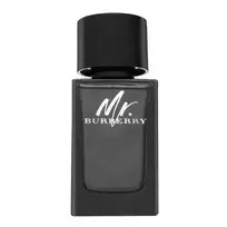 Burberry  Mr. Eau de Parfum for men 100 ml