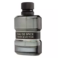 Fragrance World , Eau De Spice, Eau De Parfum, For Men, 100 ml