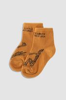 COCCODRILLO kojinės SOCKS BOY, medaus spalvos, dydis