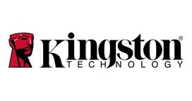 Memory DDR5 ECC 32GB KTH-PL556E-32G