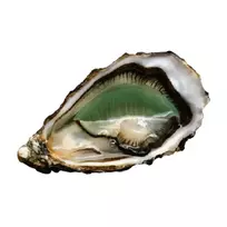 Austrė Fine De Claire Label Rouge Nr.3,1vnt