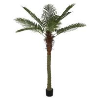Dirbtinis augalas vazone, palmė, ruda sp./žalia sp., 200 cm