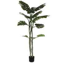 Dirbtinis augalas vazone, monstera, žalia sp., 180 cm