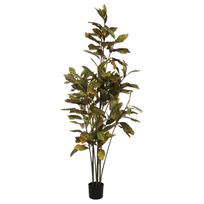 Dirbtinis augalas vazone Croton, žalia sp., 190 cm