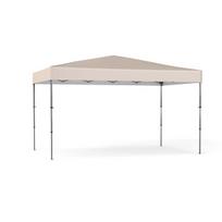 Paviljonas 365 x 225 cm