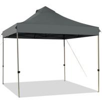 Paviljonas 304.8 x 304.8 cm