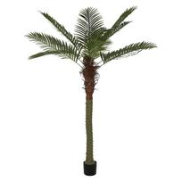 Dirbtinis augalas vazone, palmė, ruda sp./žalia sp., 200 cm