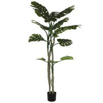 Dirbtinis augalas vazone, monstera, žalia sp., 180 cm